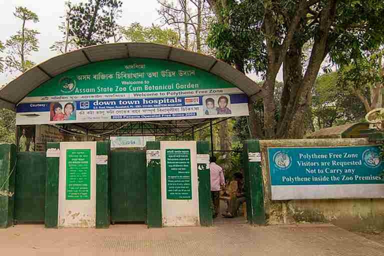 Assam State Zoo and Botanical Garden
