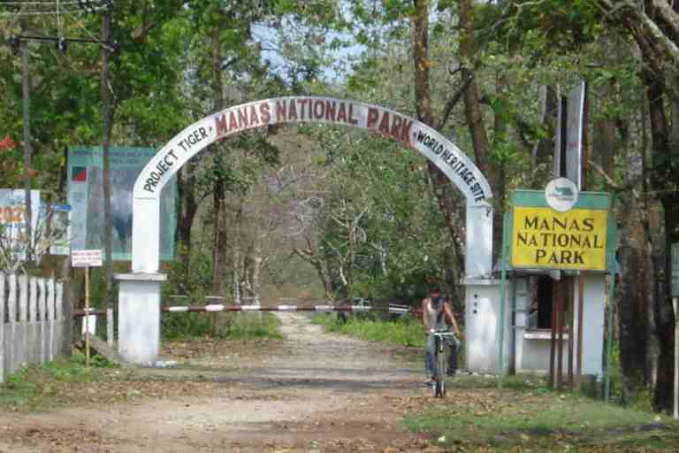 Manas National Park