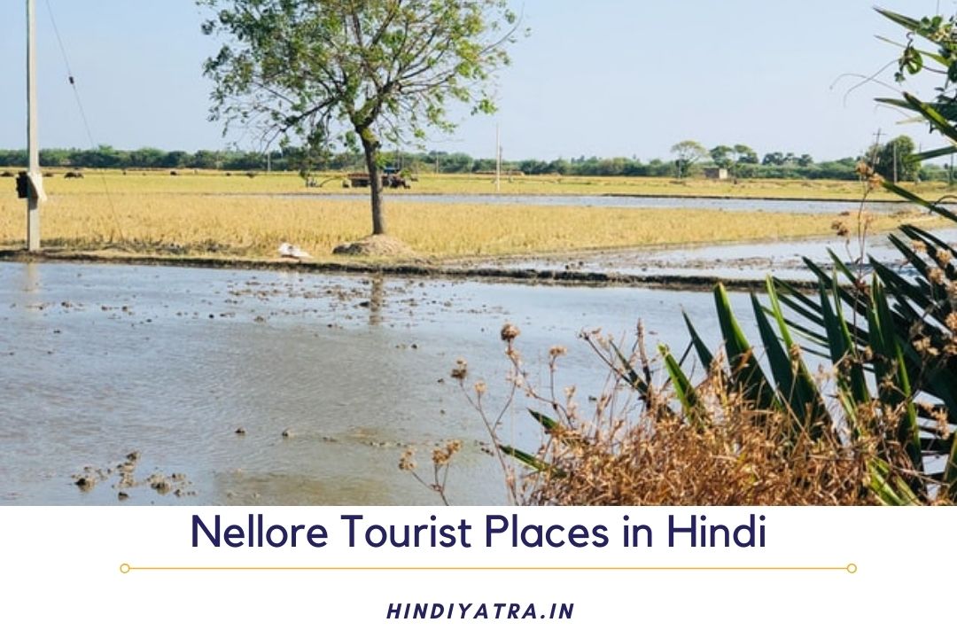 Tourist Places in Nellore in Hindi